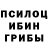 Галлюциногенные грибы Cubensis Minni games