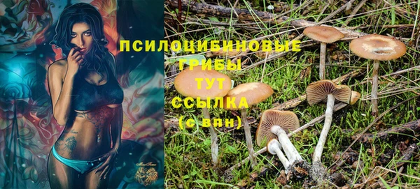 мяу мяу мука Аркадак