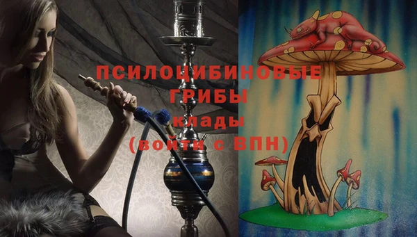 мяу мяу мука Аркадак