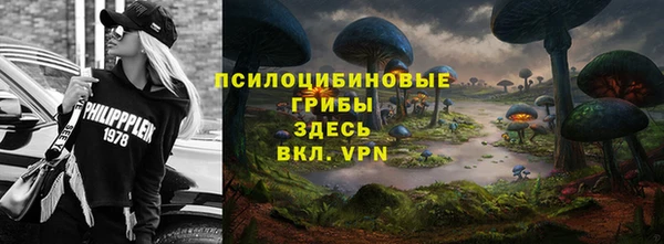 хмурый Армянск