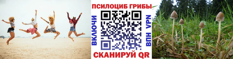 Псилоцибиновые грибы мухоморы  наркотики  Сланцы 